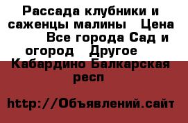 Рассада клубники и саженцы малины › Цена ­ 10 - Все города Сад и огород » Другое   . Кабардино-Балкарская респ.